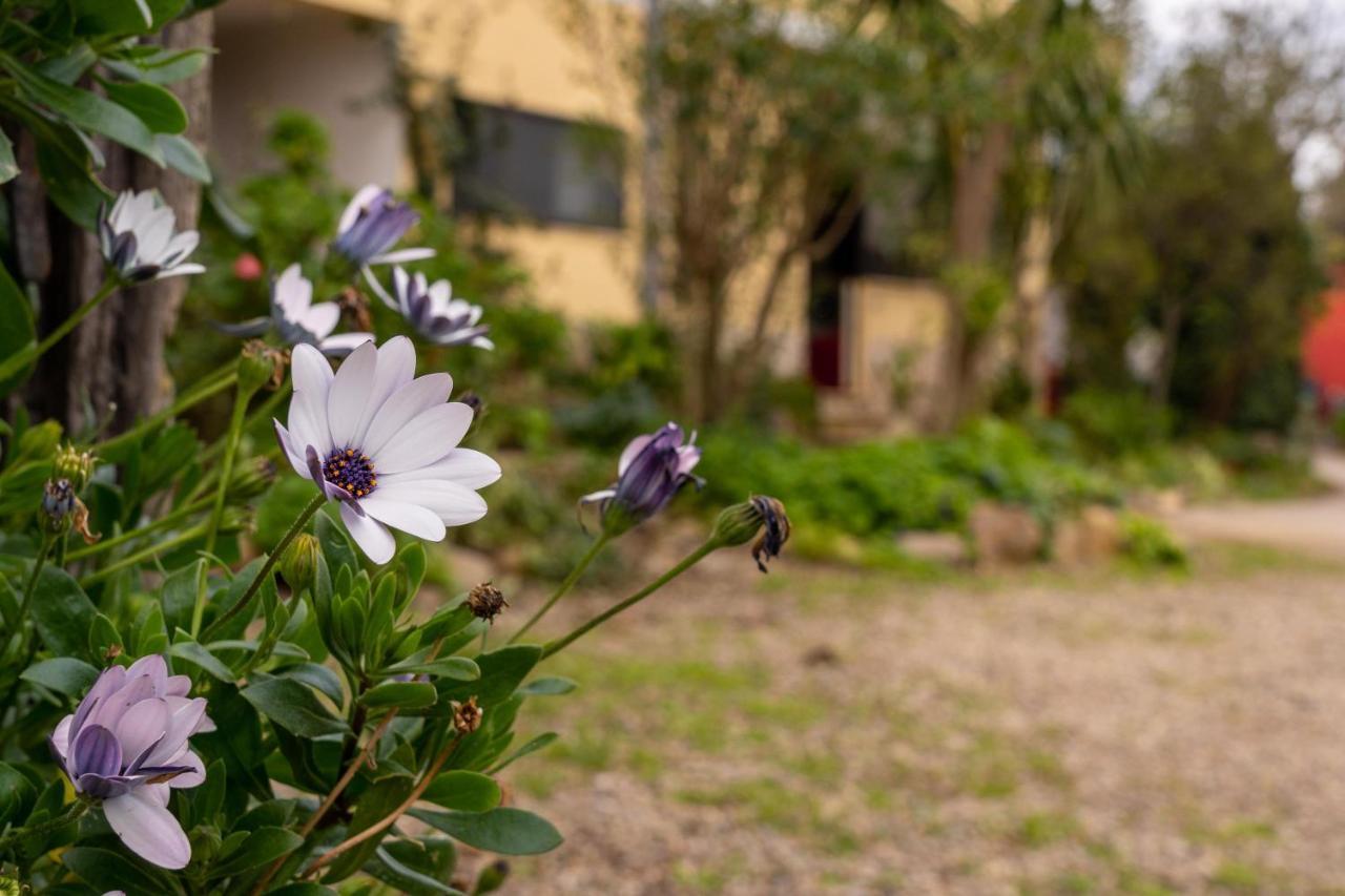 Appartamento Asfodelo Villacidro Exteriér fotografie