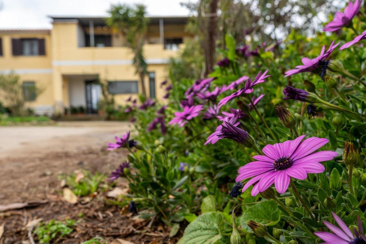 Appartamento Asfodelo Villacidro Exteriér fotografie